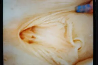 LOOKIN FOR A NEW PLUG ~~$60QV CARDATE SPECIAL only till MIDNIGHT - Image 11