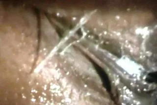 ANOTHER FEATURE "NEW IN TOWN" - Image 1